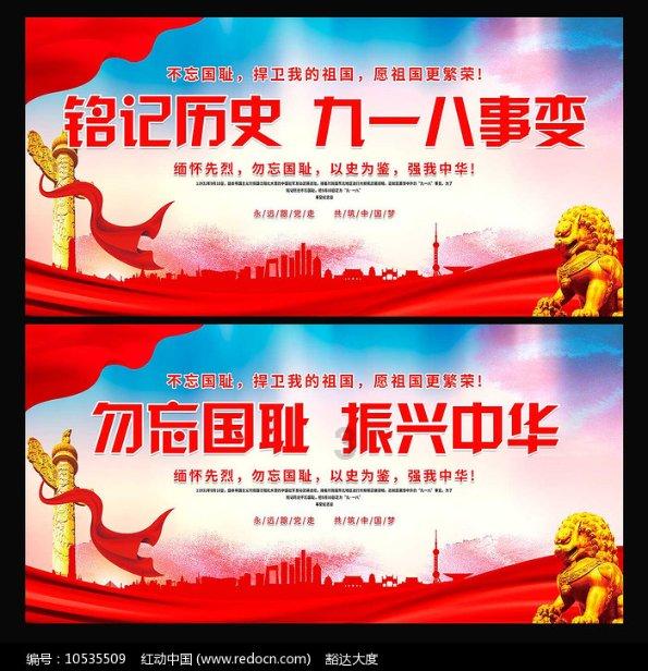 可爱的小考拉
